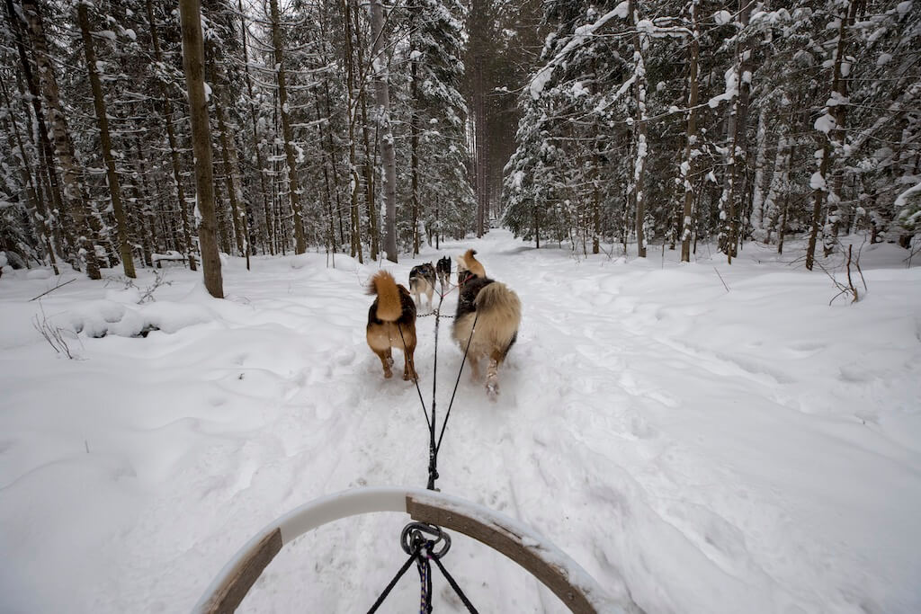 family day Ontario