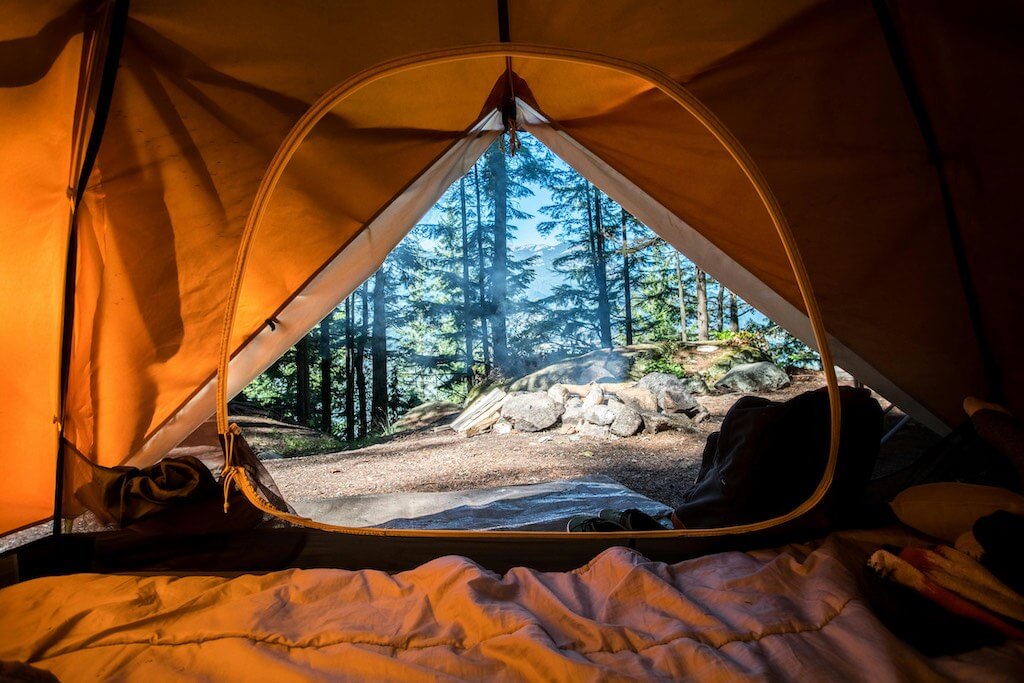 inside a tent looking out into the wilderness and trees