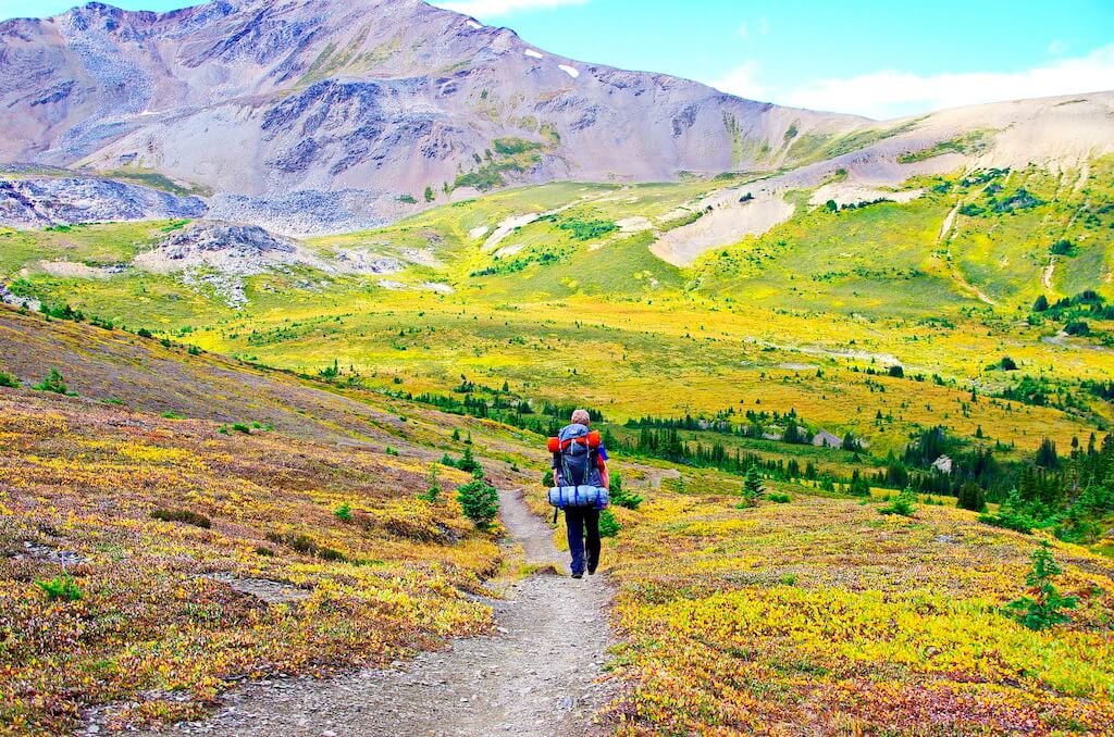 Skyline Trail, Jasper (photo: Leigh McAdam @hikebiketravel)