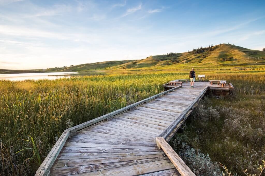 Cypress Hills Provincial Park