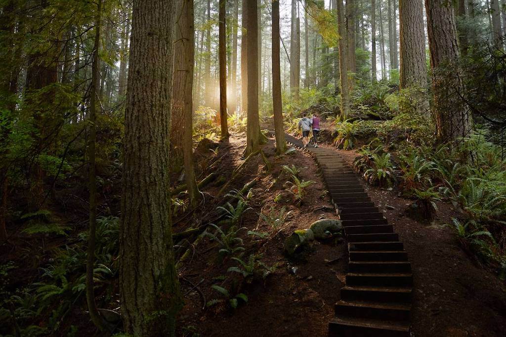 Grouse Grind hikers on stairs in the forest (Destination Vancouver)