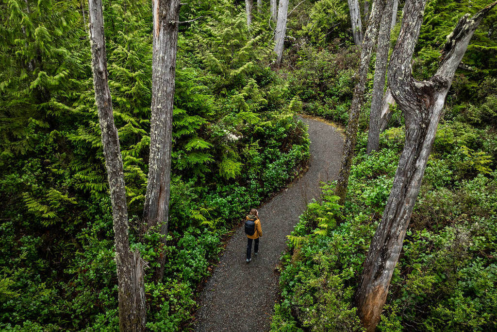 Wild Pacific Trail in Ucluelet ( Tourism Vancouver Island / Tourism Ucluelet / Tyler Cave)