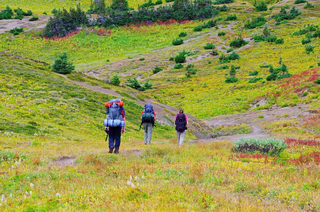 Skyline Trail backpacking trail