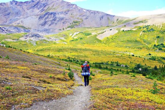 Skyline backpacking trail in Alberta.