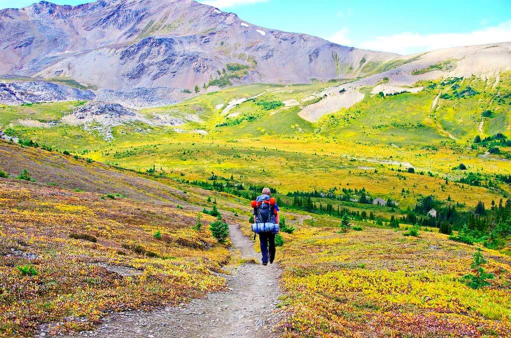 Skyline backpacking trail in Alberta.