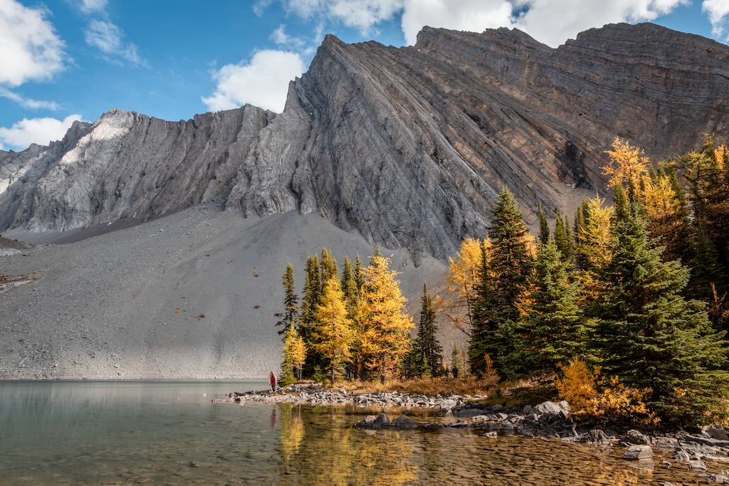 People and larches at Chester lake (Travel Alberta / Dan Schykulski)