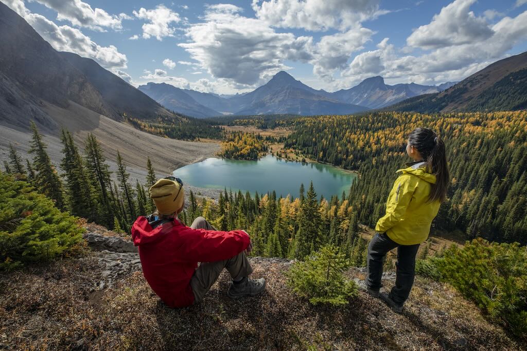 Larch tree hiking in Kananaskis Country