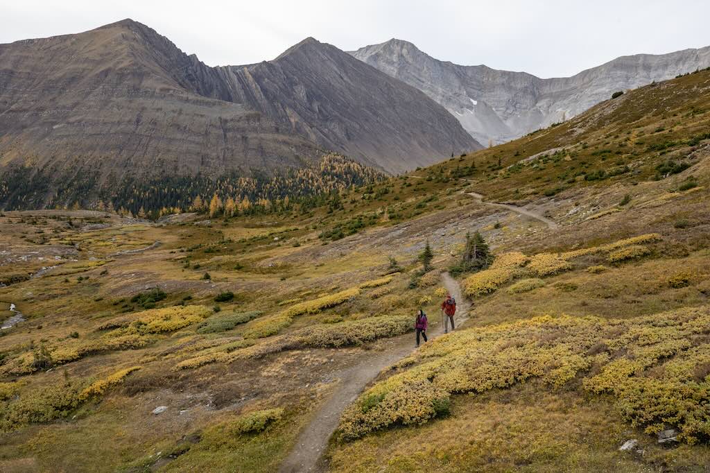 Ptarmigan Cirque hike to larch trees