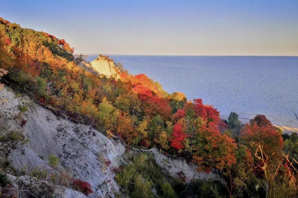 Fall colours, Scarborough Bluffs