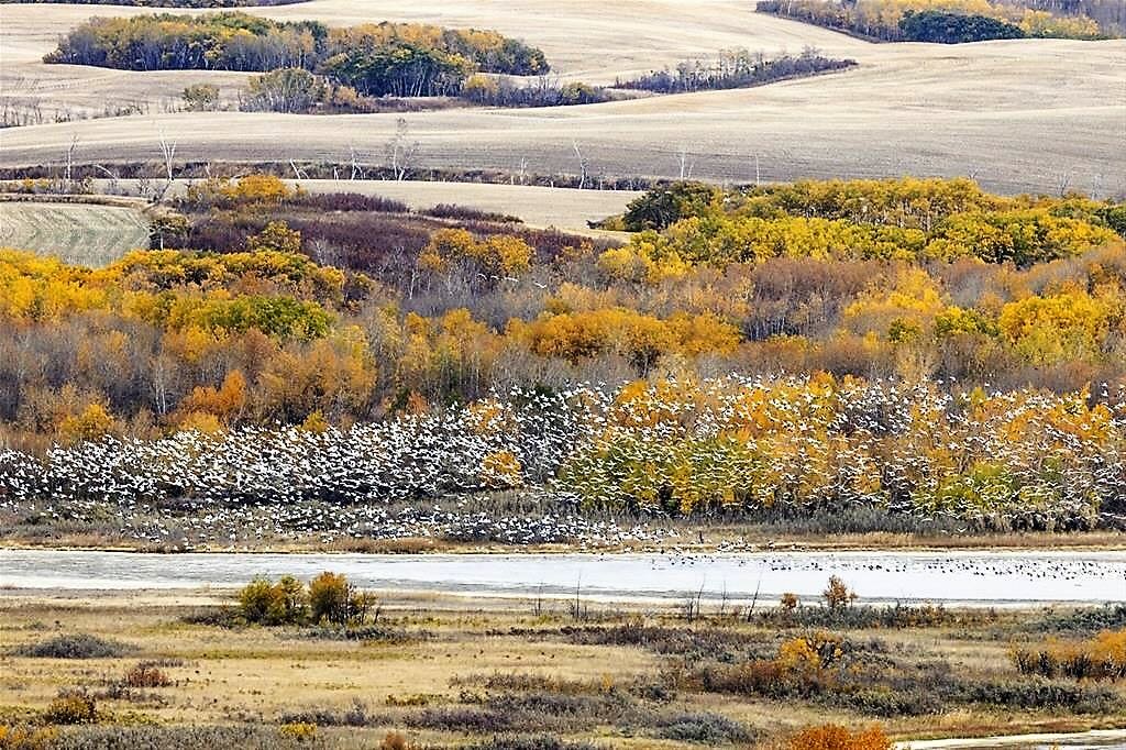 Redberry Lake Biosphere Region