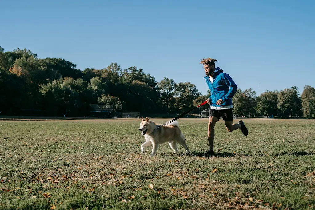 Running with a dog